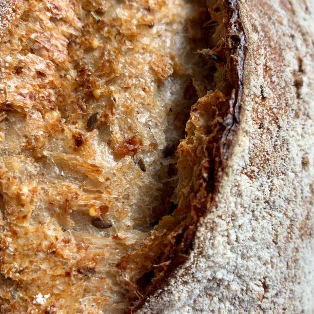 pan de siete granos - food mobilestock bread brown bread fotografías e imágenes de stock