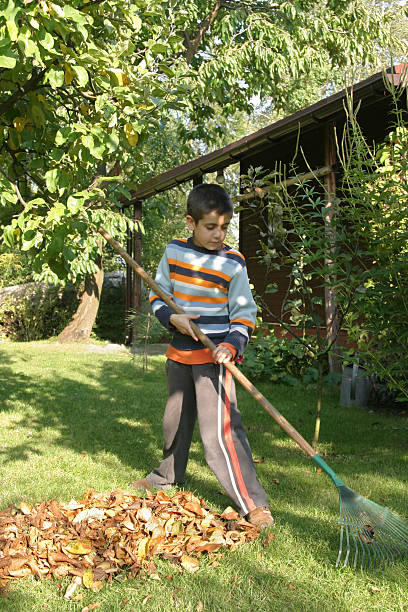 istock boy in a garden 116923944