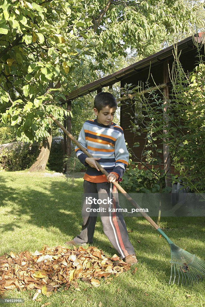 boy in a garden  Leaf Stock Photo