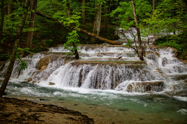 istock Beautiful waterfall on Bei river within a dense deciduous forest in Romania in spring 1169239620