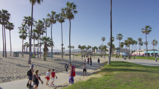 People in Venice Beach
