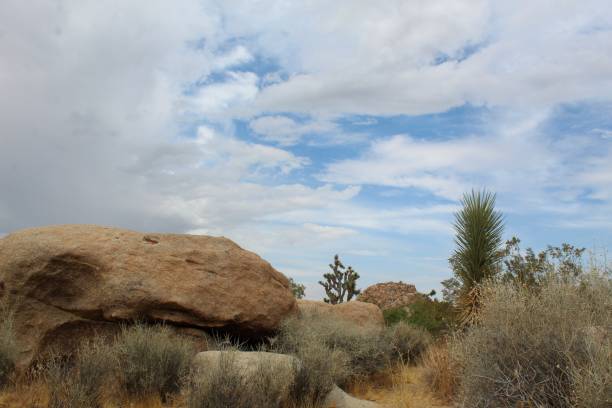 istock MONSOON MOUNTAINS - JOSHUA TREE NP - 072519 C 1169242950