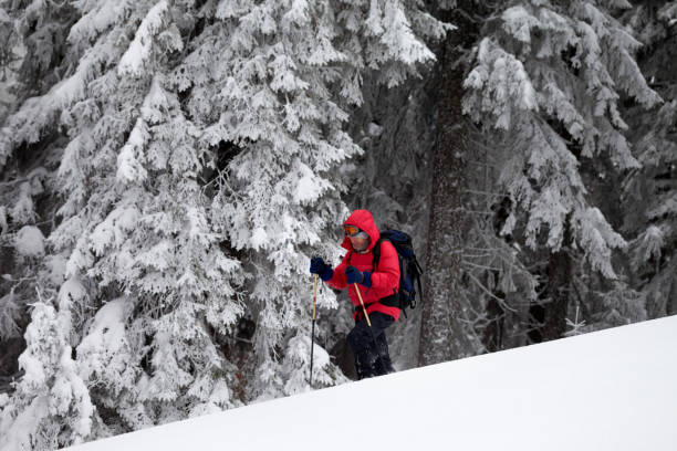 istock Hiker makes his way on snowy slope in snow-covered forest 1169245763