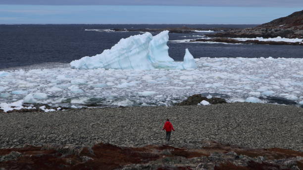 istock Iceberg - Newfoundland, Canada 1169247224