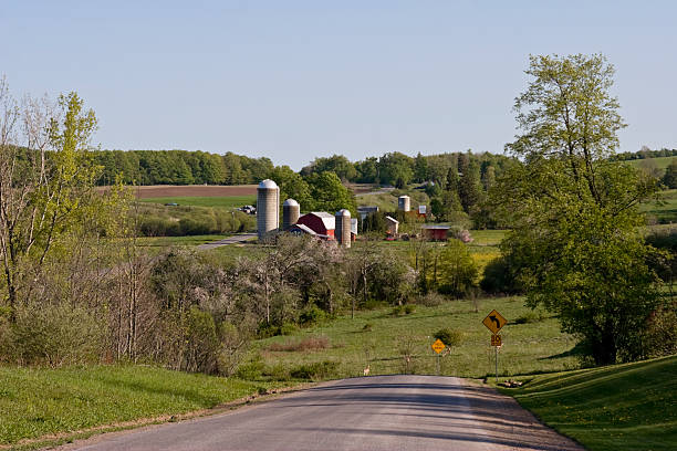 istock Idyllic Farmstead with Deer and Field in Spring 116924758