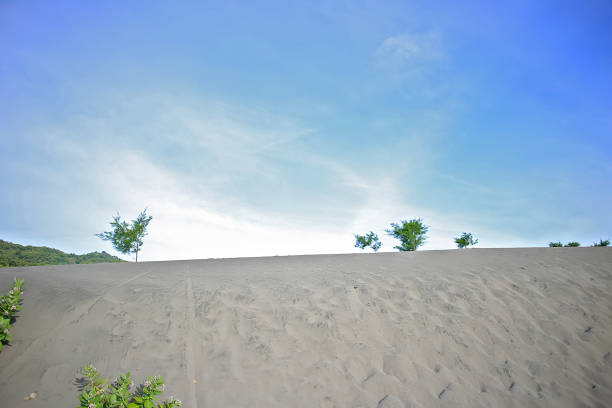 Parangkusumo Sand Dune