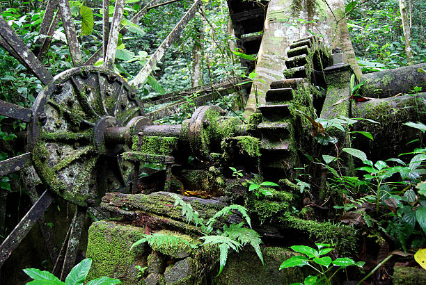 old roda de água - brazilian culture tropical rainforest machine gear - fotografias e filmes do acervo