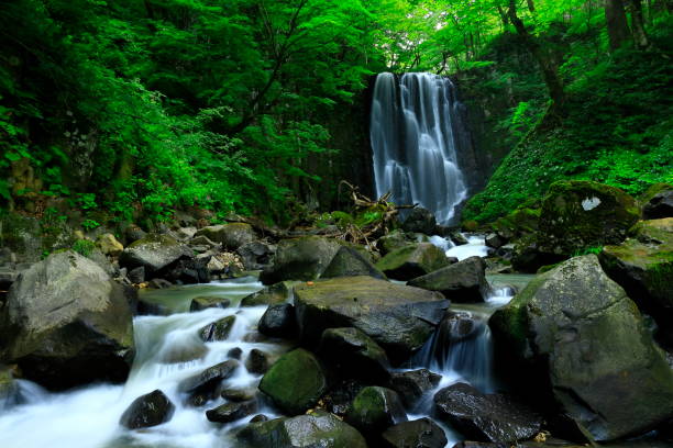 istock Akita Prefecture Summer Falls 1169255008