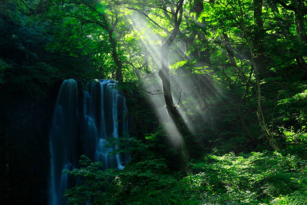 Akita Prefecture Summer Falls