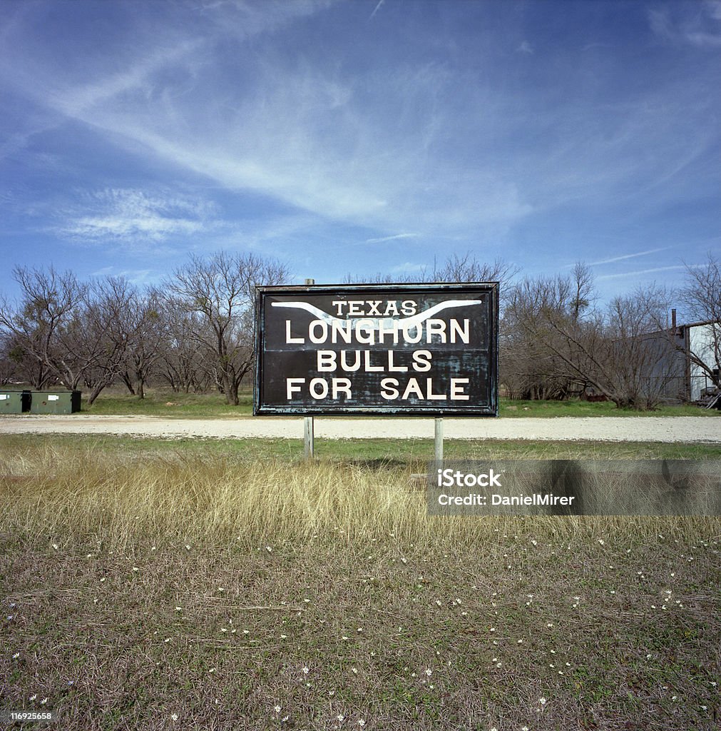 Texas Longhorn billboard in Dallas  Ranch Stock Photo
