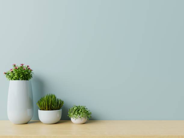 istock Modern empty room with plants on floor wooden,blue wall. 1169257107