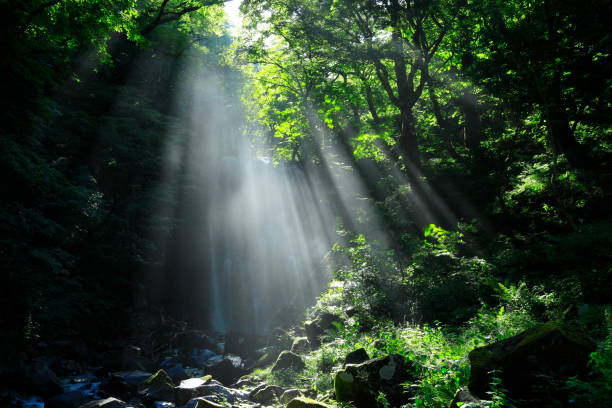 istock Akita Prefecture Summer Falls 1169258810