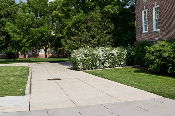 istock Beautiful College Campus on a warm Spring day. 116925917