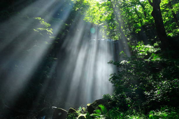 istock Akita Prefecture Summer Falls 1169262577