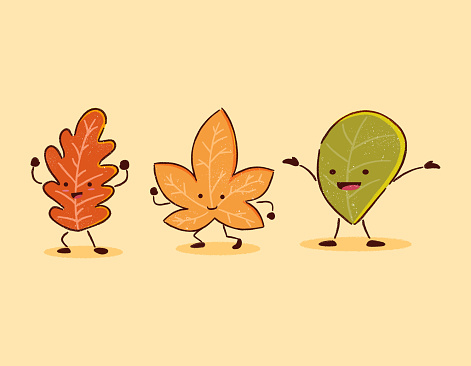 Funny autumn leaf cartoon illustration