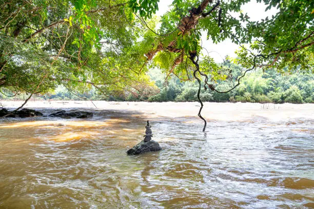 Photo of This is a large river in the Nam Cat Tien National Park at Dong Nai, Vietnam.