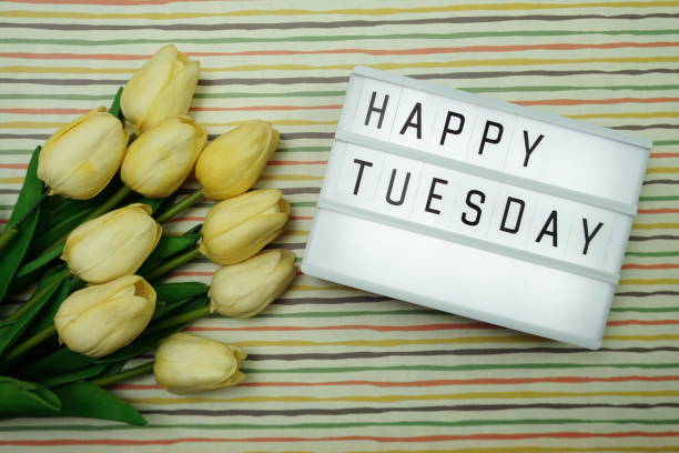 istock Happy Tuesday text in lightbox with space copy flat lay on colorful background 1169267505