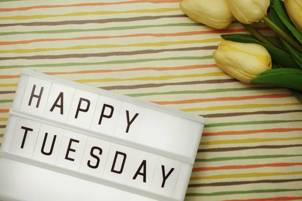istock Happy Tuesday text in lightbox with space copy flat lay on colorful background 1169267693