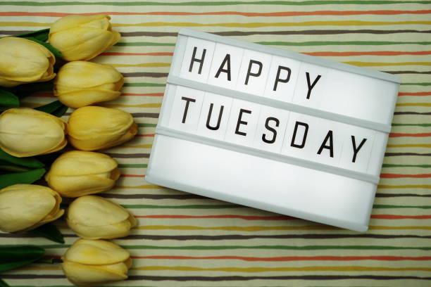 istock Happy Tuesday text in lightbox with space copy flat lay on colorful background 1169267717