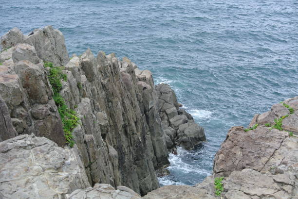 istock Andesite on the coast 1169268789