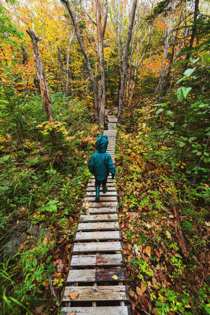 istock Boy on Autumn Hike 1169268862