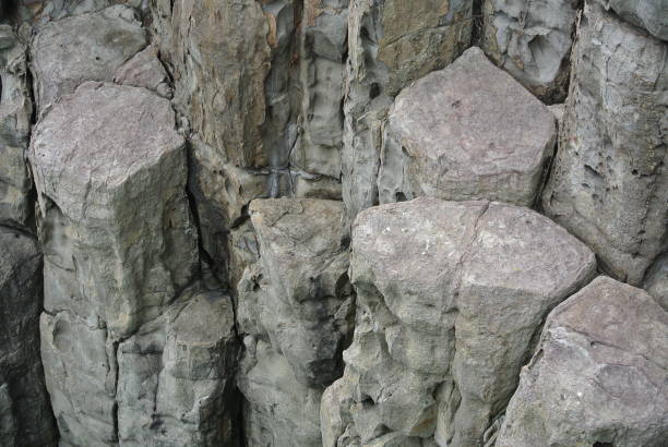 istock Close-up andesite on the coast 1169268989