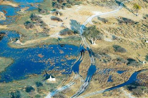 okavango delta in Botswana in africa from above out of airplane
