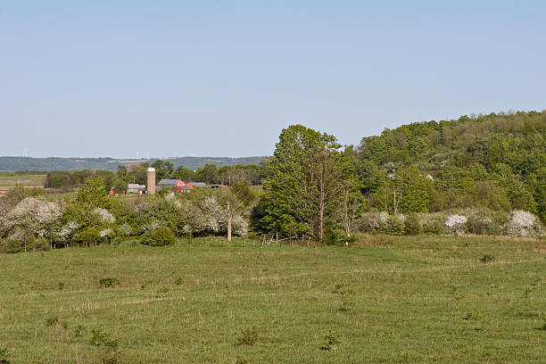 istock Spring Farmstead, Red Barn, Apple Trees in Blossom 116926969