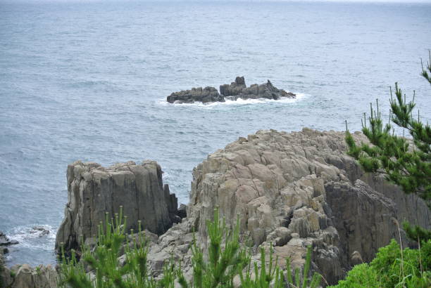 istock Andesite on the coast 1169269819