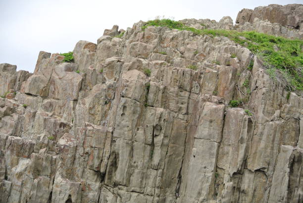 istock Close-up andesite on the coast 1169270026