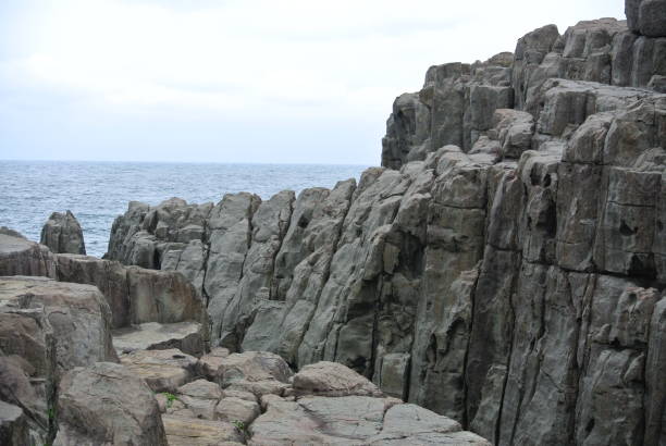 istock Andesite on the coast 1169270234