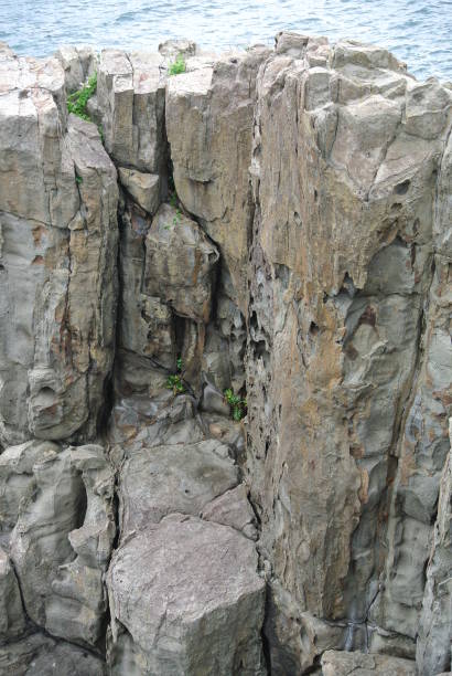 istock Close-up andesite on the coast 1169270350