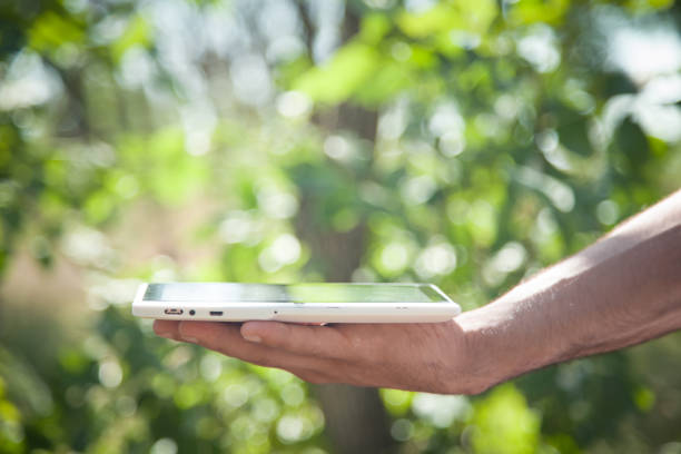 istock Male hand holding white digital tablet in nature. 1169273163