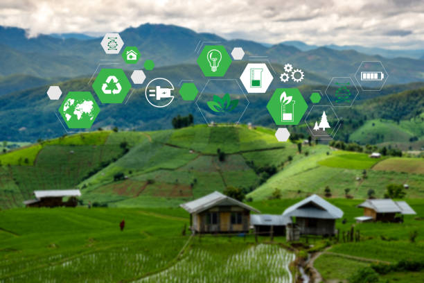 istock Team Business energy use, sustainability Elements energy sources sustainable 1169273967