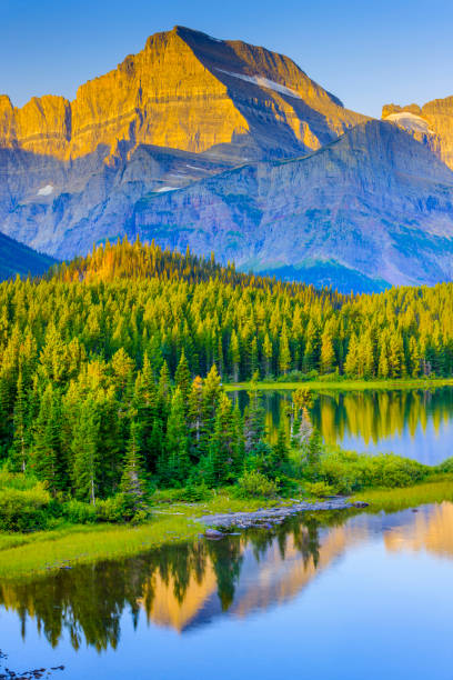 glacier national park in montana usa - mount grinnel imagens e fotografias de stock