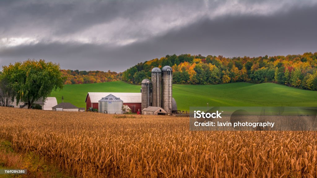 farm silo during fall with background colors Farm Stock Photo