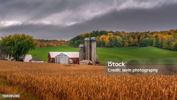 Farm Silo During Fall With Background Colors Stock Photo - Download Image Now - Farm, Autumn, Wisconsin