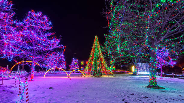 istock christmas tree rotary lights lacrosse wisconsin 1169284518