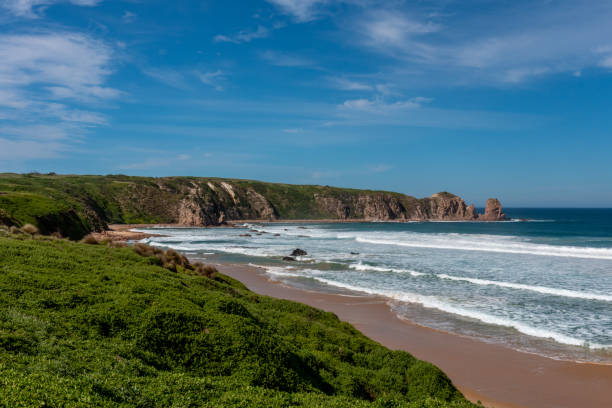istock Woolamai Surf Beach looking onto the Pinnacles Lookout 1169285433