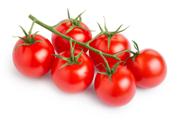 istock Branch of cherry tomatoes on white 1169287899