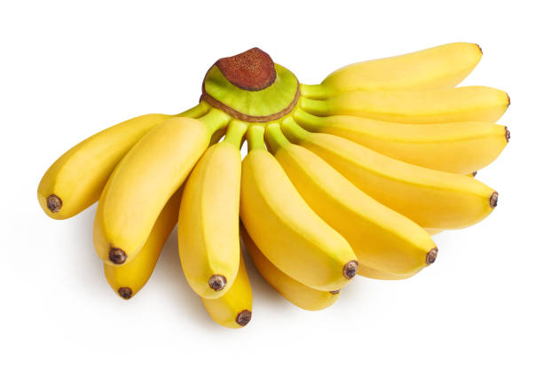Bunch of baby bananas on white