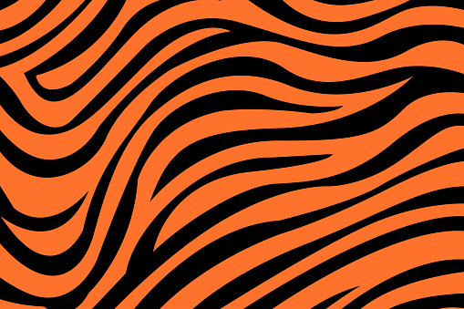 tiger pattern background illustration vector