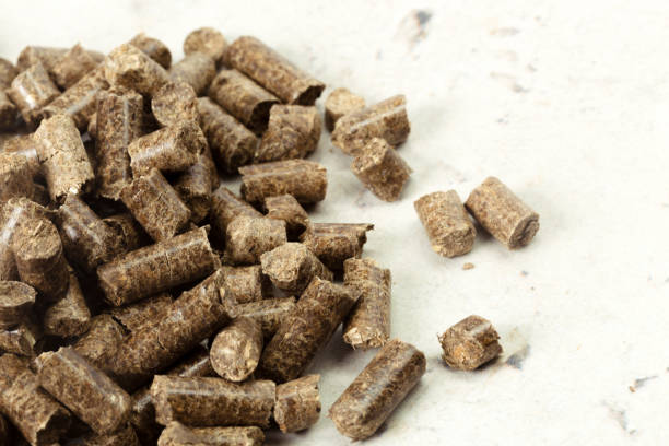 istock Energy. Pellets on the table 1169294298