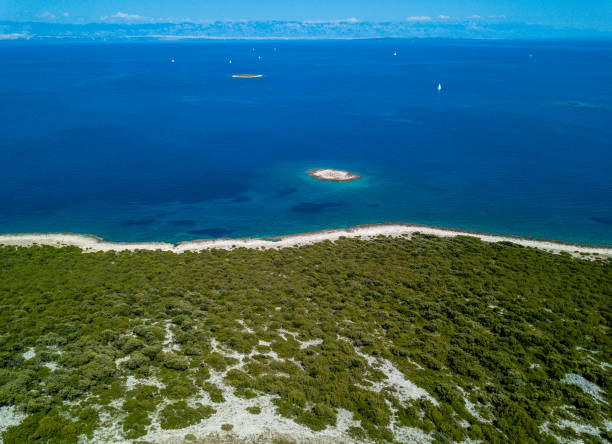 istock Aerial view of the coastline 1169295596