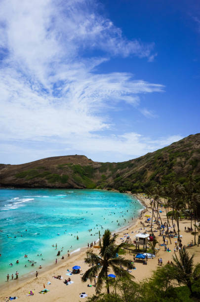 a praia mais famosa de oahu, a baía de hanauma - hanauma bay hawaii islands oahu bay - fotografias e filmes do acervo