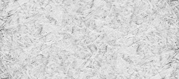 istock Panorama white wood texture background. Panoramic messy white wood texture surface 1169301050