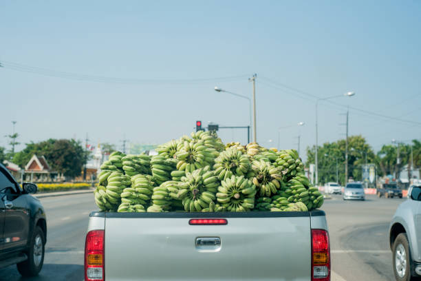 Bananas on a pick-up