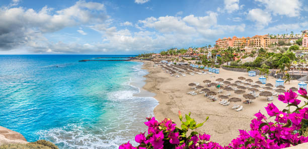 Landscape with El Duque beach Landscape with El Duque beach at Costa Adeje. Tenerife, Canary Islands, Spain tenerife stock pictures, royalty-free photos & images
