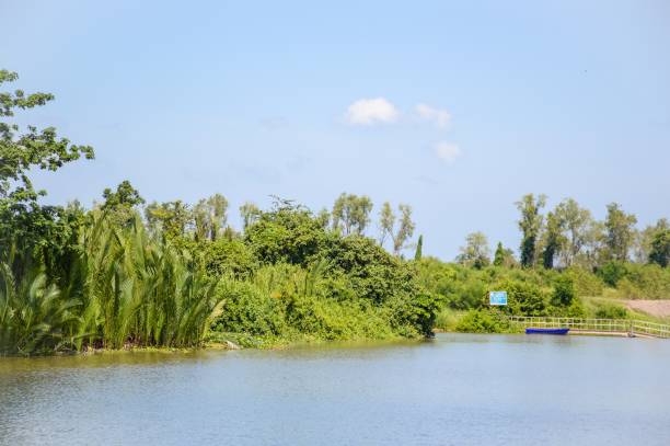istock bangprakong river in chachoengsao thailand 1169311317
