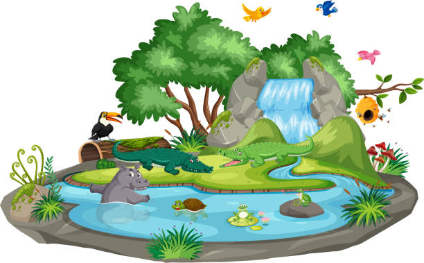 Background scene of crocodiles by the waterfall Background scene of crocodiles by the waterfall illustration wood turtle stock illustrations